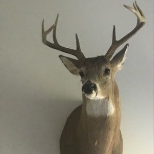 Meet your Posher, Ted